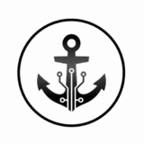 DIGITAL ANCHOR