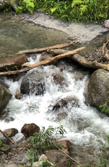 610500466 25764277496561137 3885309069135232572 N Ridkem8cnp4qw6opr701b8qzc33a159sv3edkqxt0g